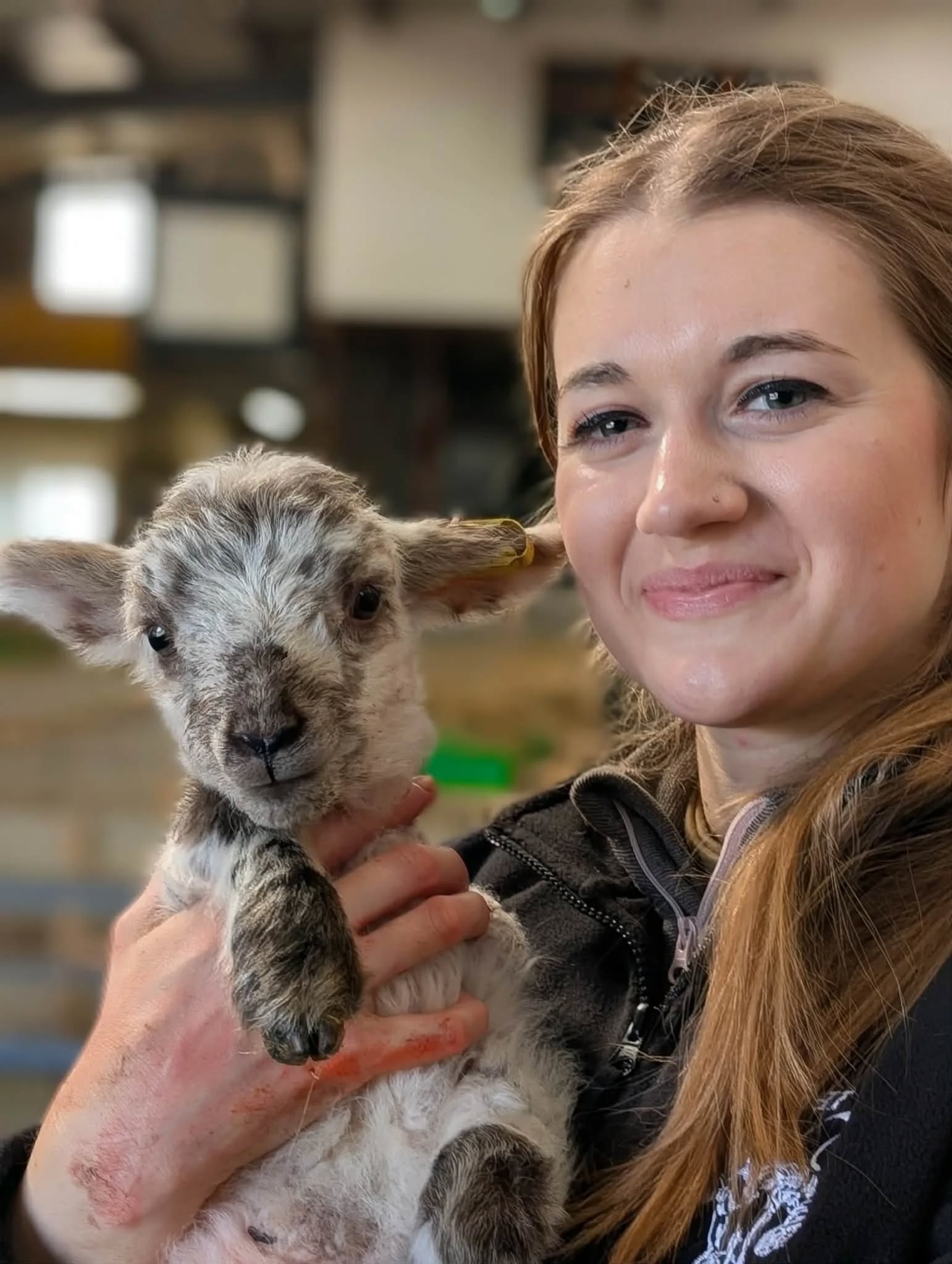 Arlette van Veen - Veterinary Advisor at Dierend
